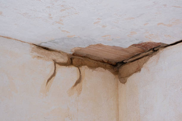 Best Sewage cleanup and water damage restoration  in Fort Bragg, CA