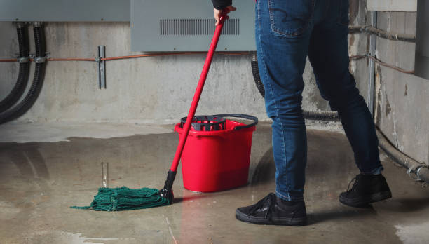Best Flooded house restoration  in Fort Bragg, CA