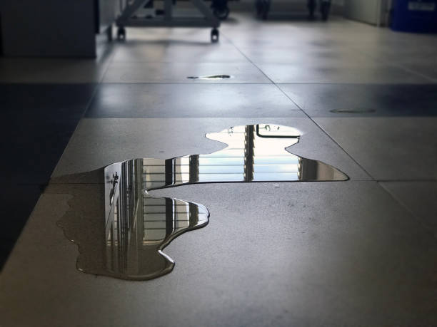 Best Water damage contractors near me  in Fort Bragg, CA