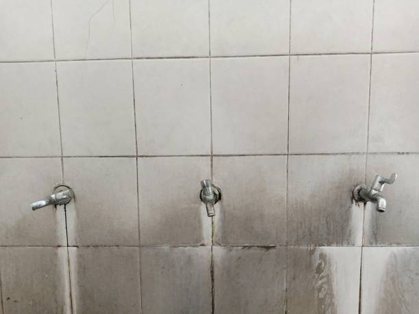 Best Residential water damage restoration  in Fort Bragg, CA