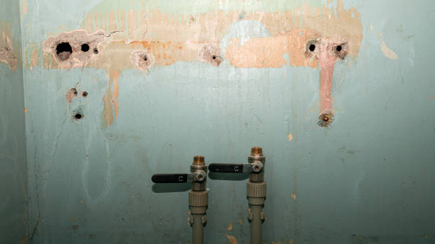 Best Basement water damage restoration  in Fort Bragg, CA