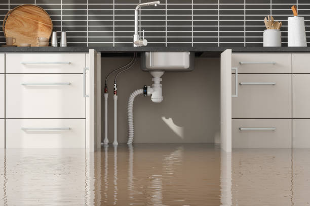 Best Mold removal after water damage  in Fort Bragg, CA