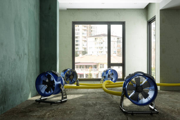Best Carpet water damage restoration  in Fort Bragg, CA