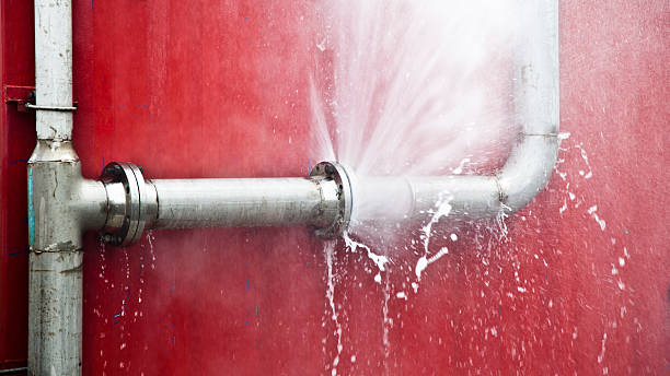 Best Local water damage restoration  in Fort Bragg, CA