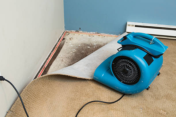 Best Fire Damage Restoration  in Fort Bragg, CA